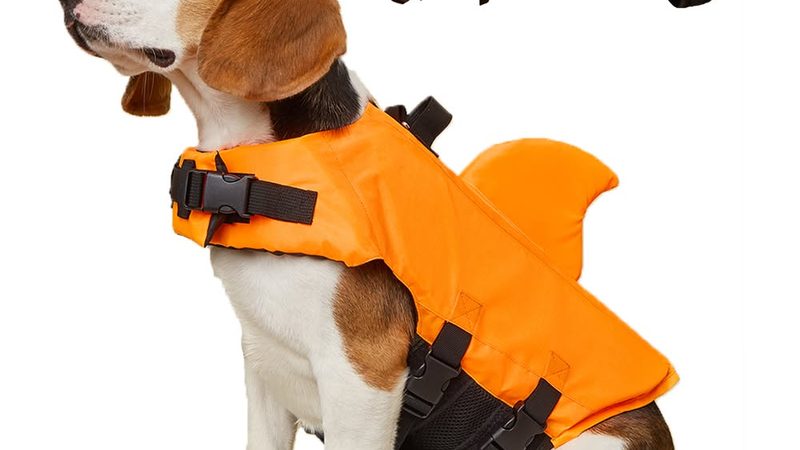风冷螺杆冷水机与螺杆冷水机：本质区别与选型要点