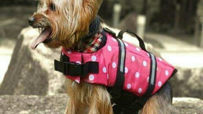 小标题：不同类型的冷冻库特点